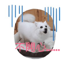170801086