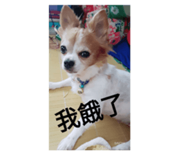 170808644