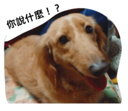170827269
