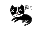 170833818