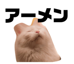 170847295