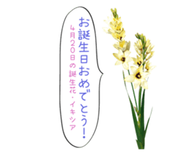 Happy Birthday Flower Stickers Yabe Line貼圖代購 台灣no 1 最便宜高效率的代購網