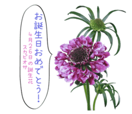 Happy Birthday Flower Stickers Yabe Line貼圖代購 台灣no 1 最便宜高效率的代購網