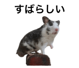 170875764