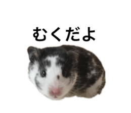 170875768