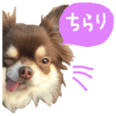 170880462