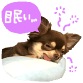 170880463