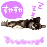 170880467