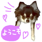 170880468