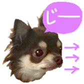 170880469