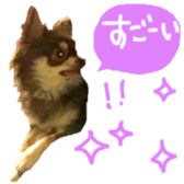 170880471
