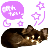 170880477