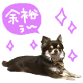 170880479