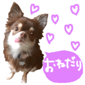 170880482