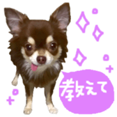 170880483