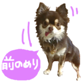170880484