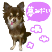 170880485