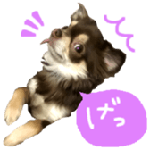 170880486