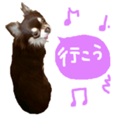 170880487