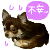 170880488