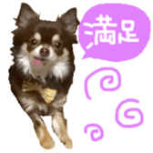 170880489