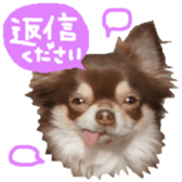 170880490