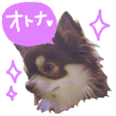 170880491