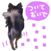 170880492