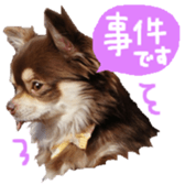 170880493