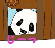 170888731