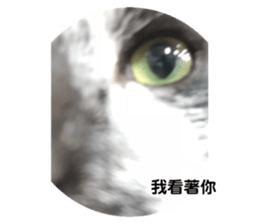 170906374