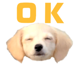 170908888