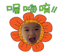 17096050