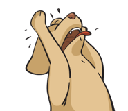 17096882