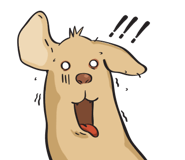 17096883