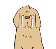 17096891