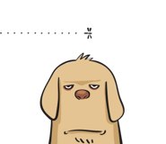17096900