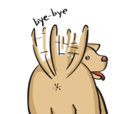 17096913
