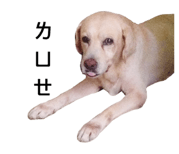 171128629