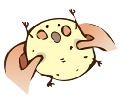17131846
