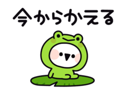 17132697