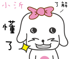 171450213