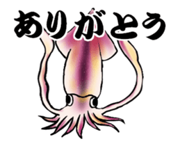 17155146