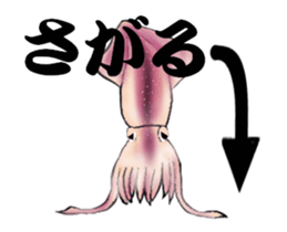 17155152