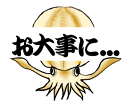 17155153