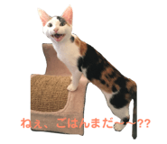 171962738