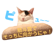 171962747