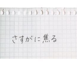 17196702