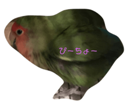 172130023