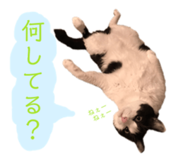 172150139
